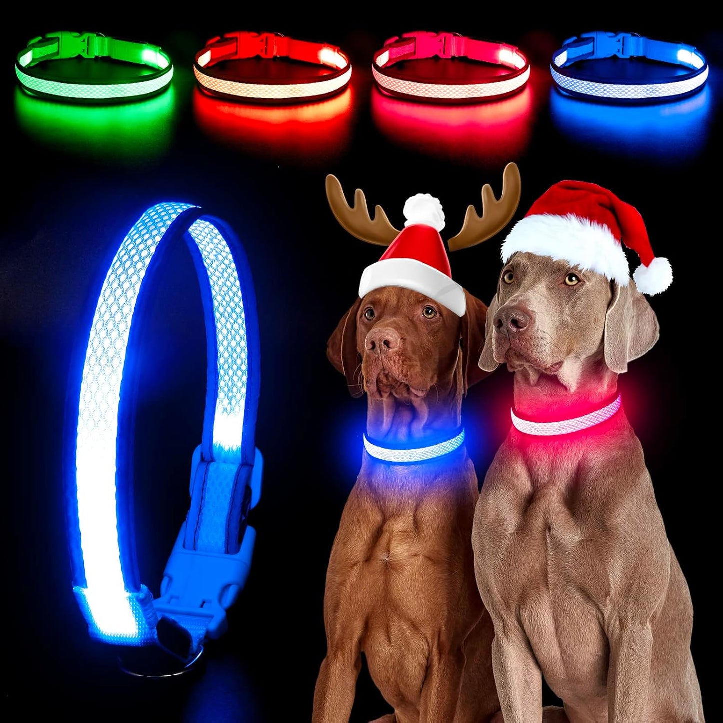 Bright Trails LED Glowing Dog Collar – USB Rechargeable & Weatherproof Safety Light
