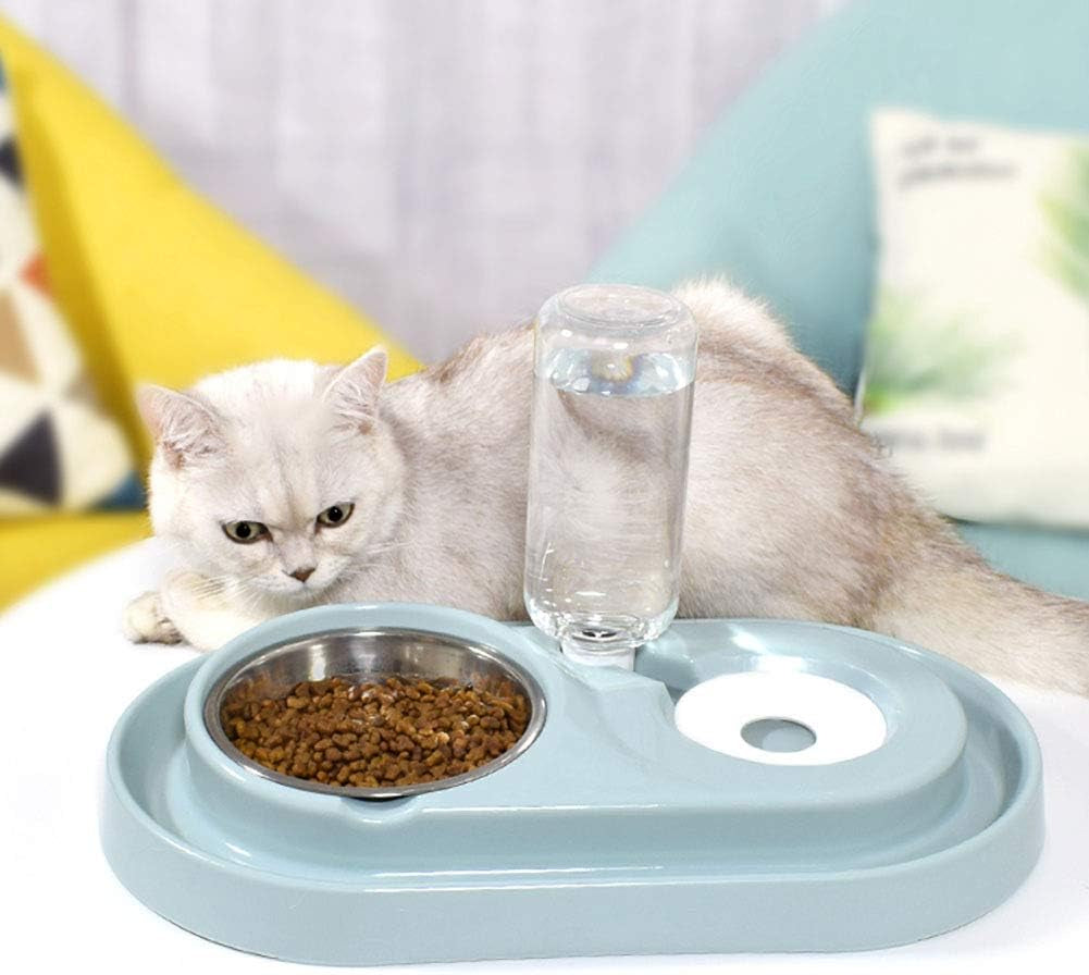 2-in-1 Automatic Gravity Waterer & Stainless Steel Food Bowl Set