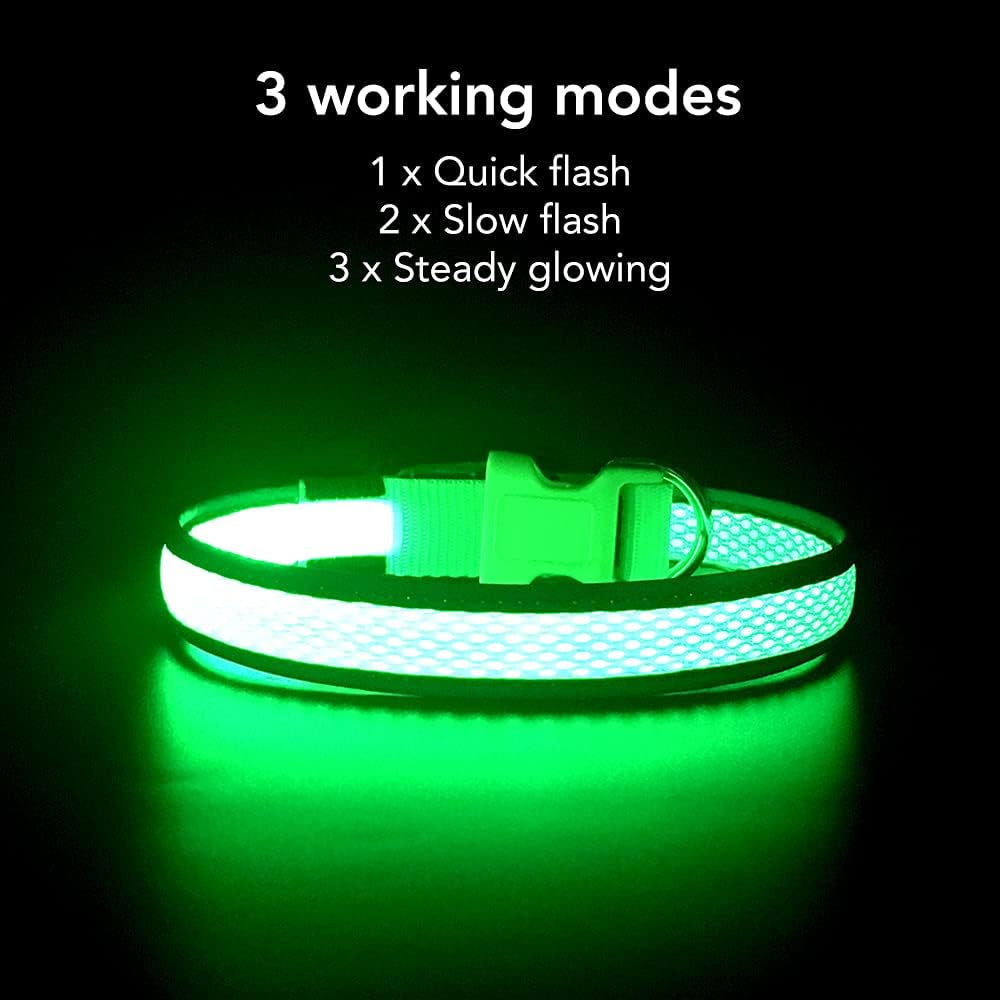 Bright Trails LED Glowing Dog Collar – USB Rechargeable & Weatherproof Safety Light