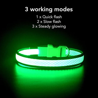 Bright Trails LED Glowing Dog Collar – USB Rechargeable & Weatherproof Safety Light
