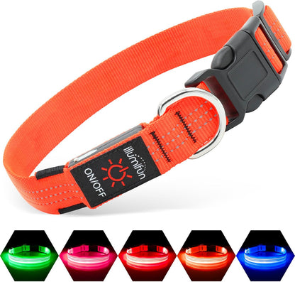 USB Rechargeable LED Light-Up Dog Collar | Reflective High-Visibility Pet Safety Gear