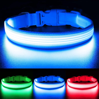 Bright Trails LED Glowing Dog Collar – USB Rechargeable & Weatherproof Safety Light