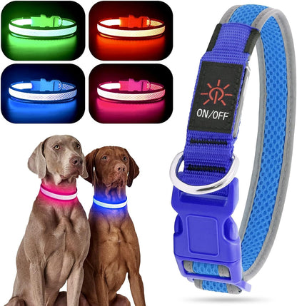 Bright Trails LED Glowing Dog Collar – USB Rechargeable & Weatherproof Safety Light