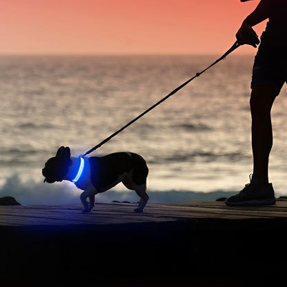 USB Rechargeable LED Light-Up Dog Collar | Reflective High-Visibility Pet Safety Gear