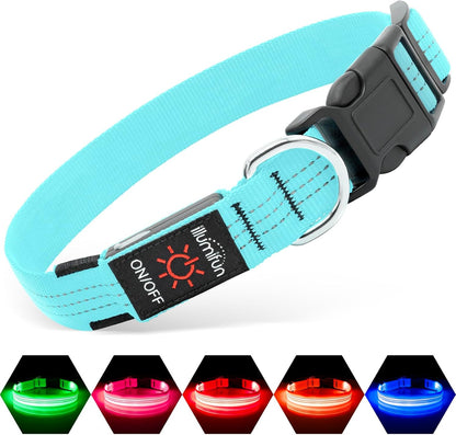USB Rechargeable LED Light-Up Dog Collar | Reflective High-Visibility Pet Safety Gear
