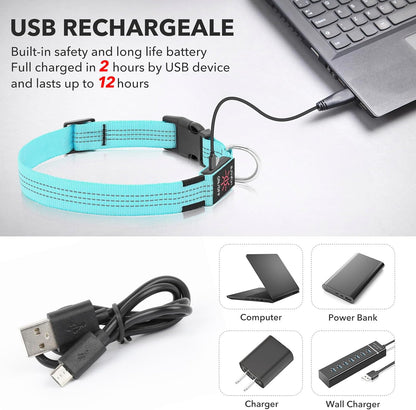 USB Rechargeable LED Light-Up Dog Collar | Reflective High-Visibility Pet Safety Gear