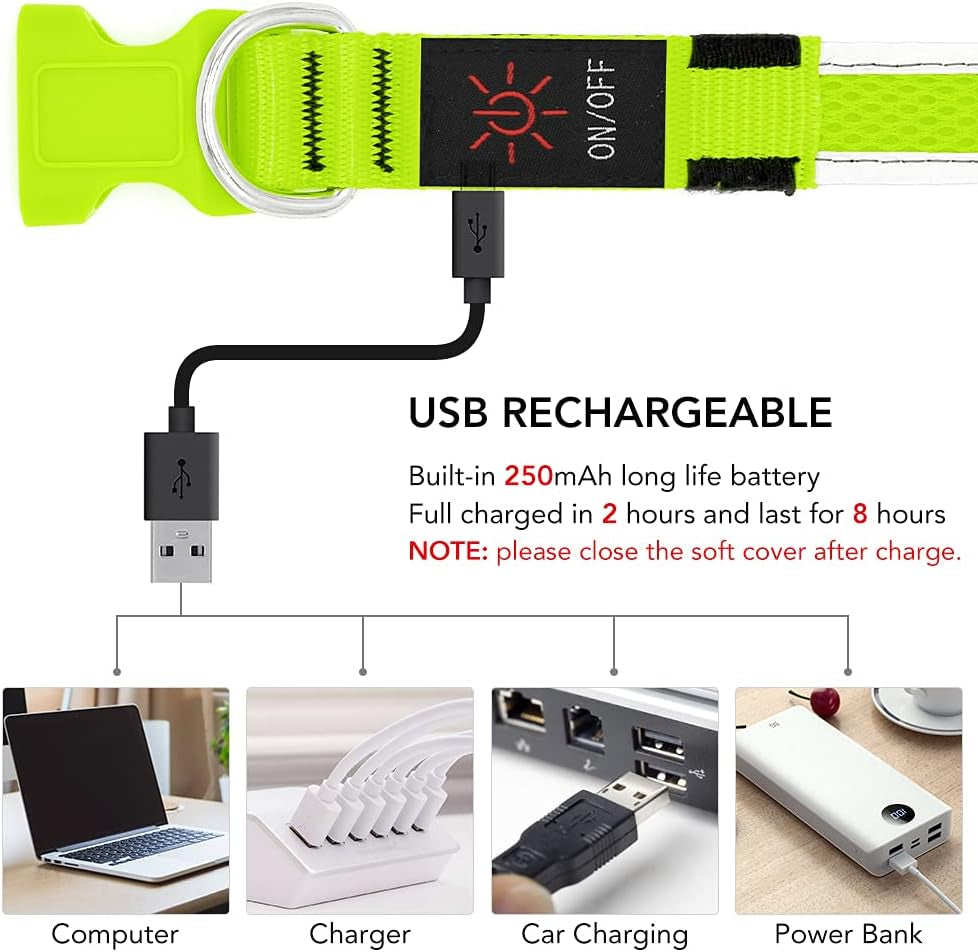 Bright Trails LED Glowing Dog Collar – USB Rechargeable & Weatherproof Safety Light