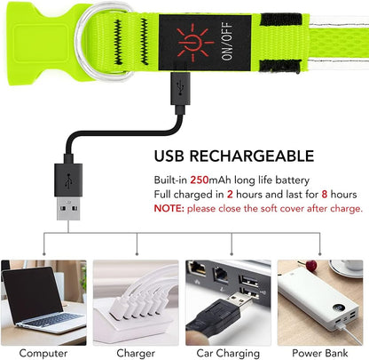 Bright Trails LED Glowing Dog Collar – USB Rechargeable & Weatherproof Safety Light
