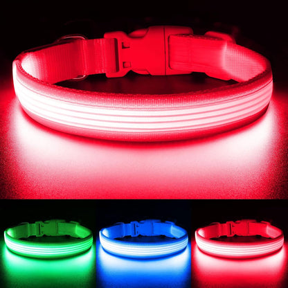 Bright Trails LED Glowing Dog Collar – USB Rechargeable & Weatherproof Safety Light