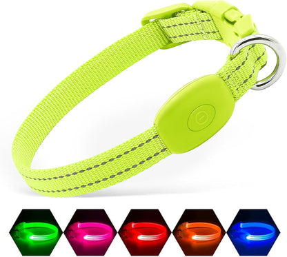 USB Rechargeable LED Light-Up Dog Collar | Reflective High-Visibility Pet Safety Gear