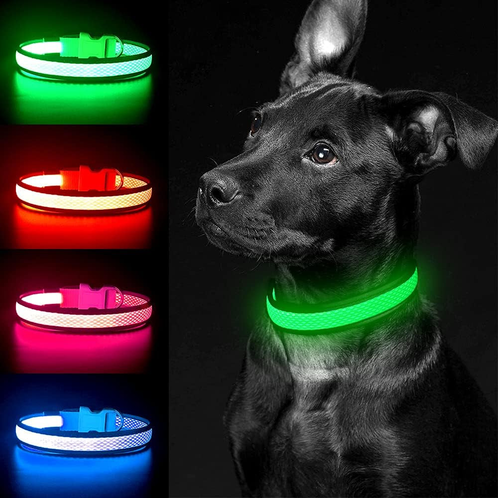 Bright Trails LED Glowing Dog Collar – USB Rechargeable & Weatherproof Safety Light