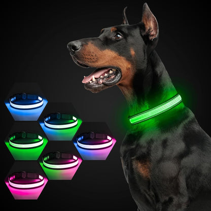 Bright Trails LED Glowing Dog Collar – USB Rechargeable & Weatherproof Safety Light