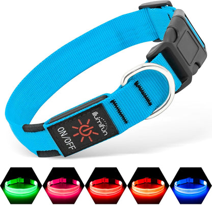 USB Rechargeable LED Light-Up Dog Collar | Reflective High-Visibility Pet Safety Gear