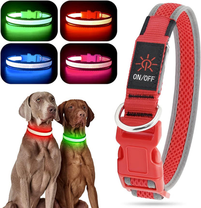 Bright Trails LED Glowing Dog Collar – USB Rechargeable & Weatherproof Safety Light