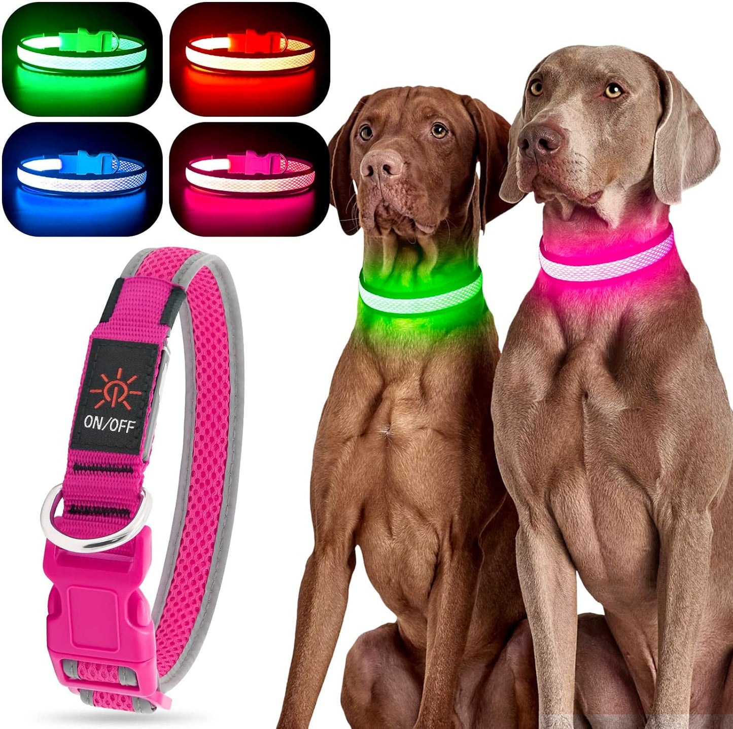 Bright Trails LED Glowing Dog Collar – USB Rechargeable & Weatherproof Safety Light