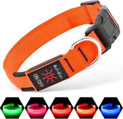 USB Rechargeable LED Light-Up Dog Collar | Reflective High-Visibility Pet Safety Gear