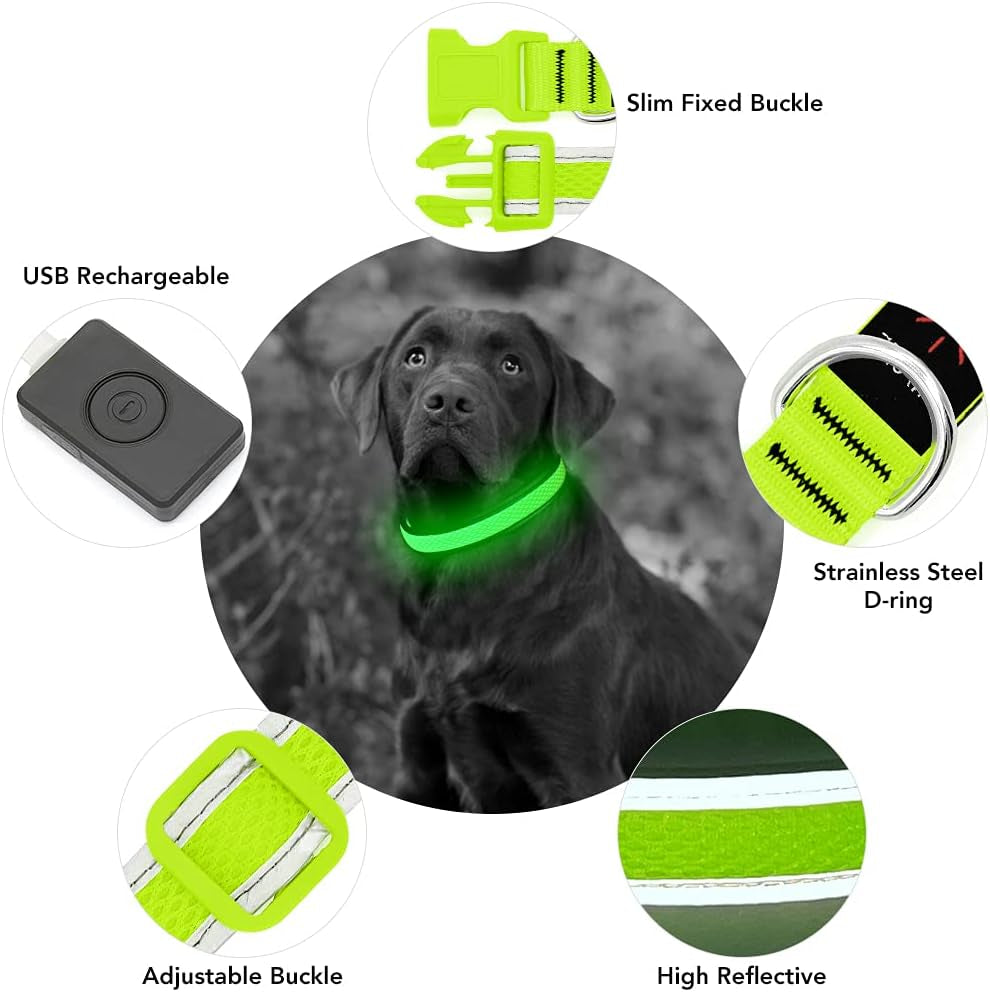 Bright Trails LED Glowing Dog Collar – USB Rechargeable & Weatherproof Safety Light