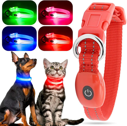 Bright Trails LED Glowing Dog Collar – USB Rechargeable & Weatherproof Safety Light