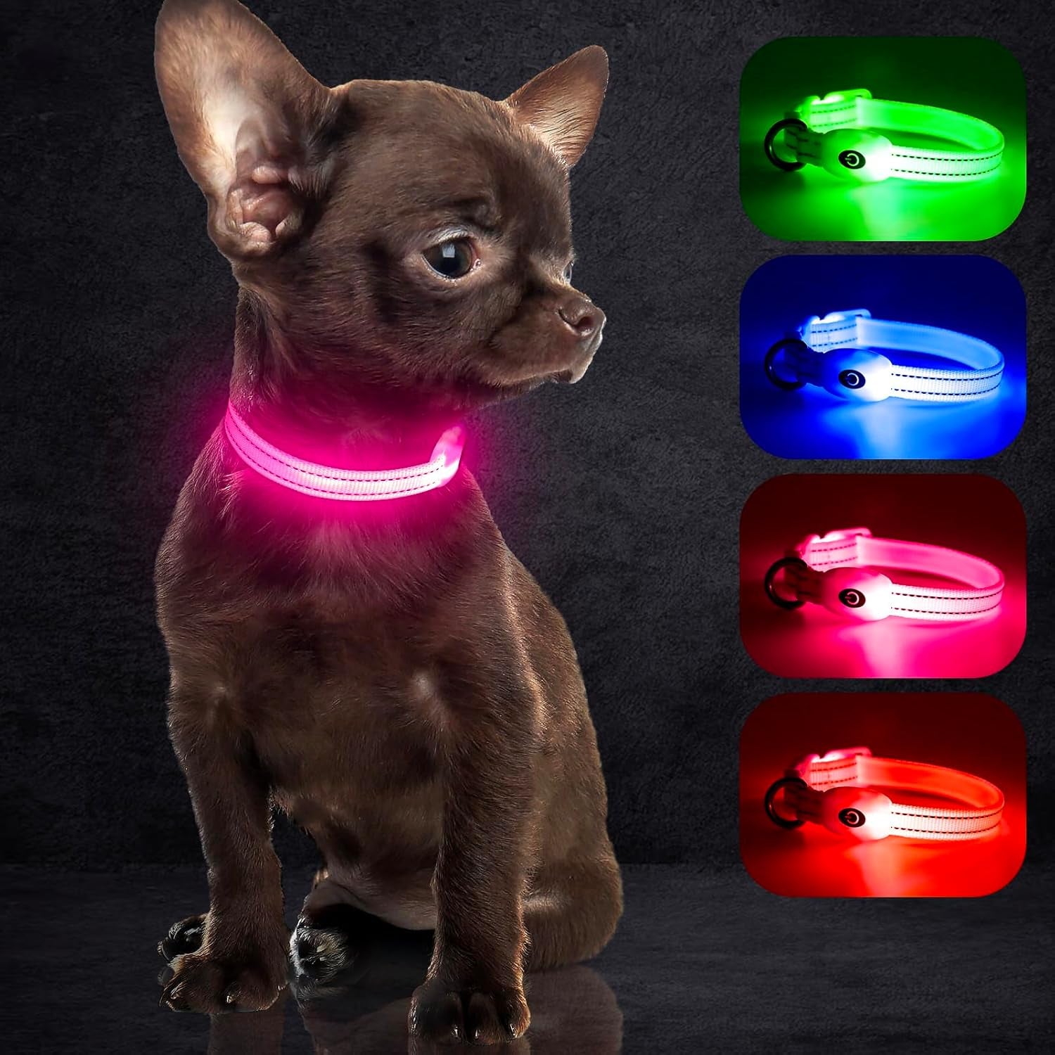 Bright Trails LED Glowing Dog Collar – USB Rechargeable & Weatherproof Safety Light