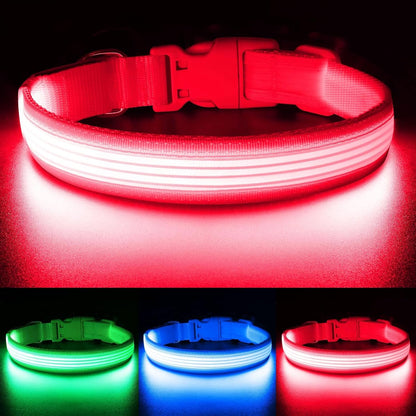 Bright Trails LED Glowing Dog Collar – USB Rechargeable & Weatherproof Safety Light