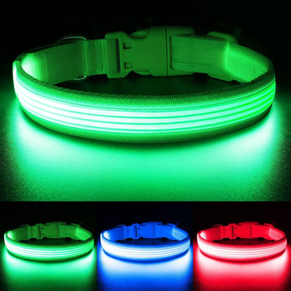 Bright Trails LED Glowing Dog Collar – USB Rechargeable & Weatherproof Safety Light
