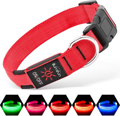 USB Rechargeable LED Light-Up Dog Collar | Reflective High-Visibility Pet Safety Gear